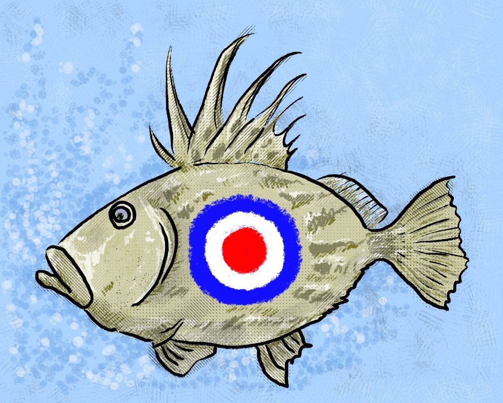 ターゲット モッズ魚 マトウダウを刺身で食す 肝まで美味 たべストレーター